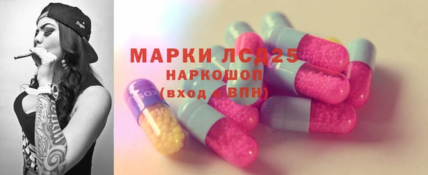 спайс Гусь-Хрустальный