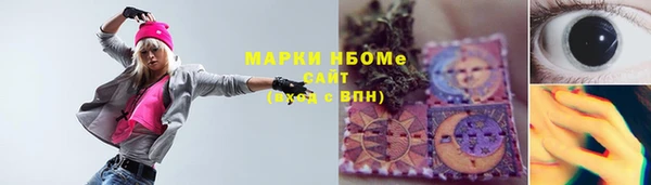 спайс Гусь-Хрустальный