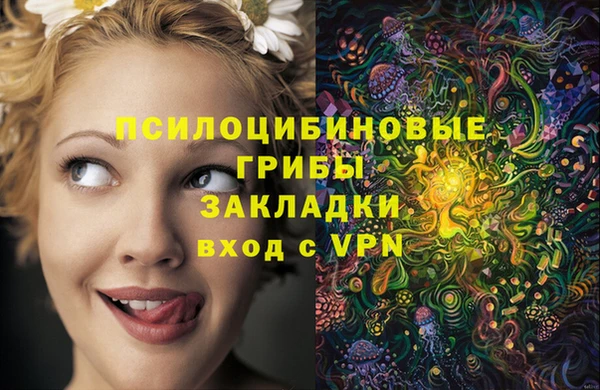мяу мяу кристалл Гусиноозёрск
