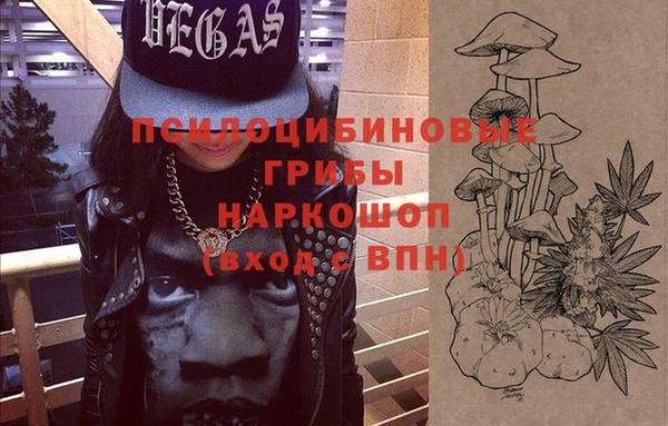 mdpv Гусев