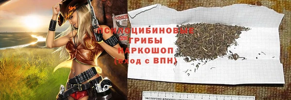 спайс Гусь-Хрустальный
