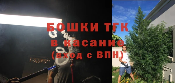 mdpv Гусев